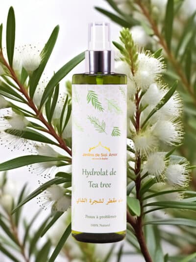 hydrolat de tea tree