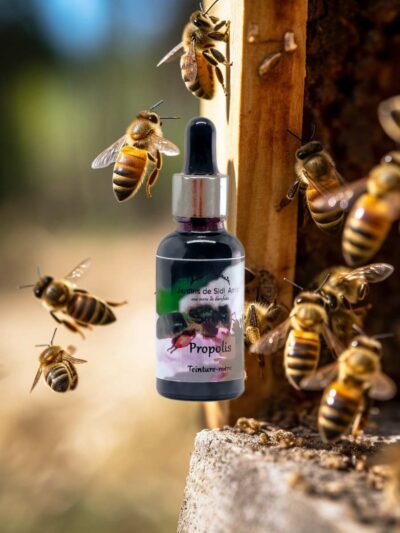 propolis