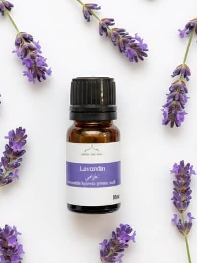 Huile essentielle de Lavandin – Jardins Sidi Amor : Pureté, Sérénité & Bienfaits